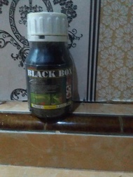 Black Box Insektisida Obat Hama Ulat Pembasmi Hama Ulat 435 EC pembasmi hama ulat