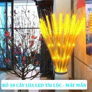 Bó 10 Bông Lúa Mạch Trang Trí Có Đèn Led