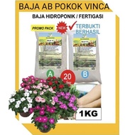 Set Baja AB 1KG Untuk Fertigasi dan Hidroponik Untuk Pokok VINCA