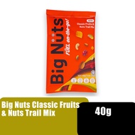 Big Nuts Mixed Nuts and Dried Fruits / Healthy Nuts / Healthy Snacks / Buah Campuran - 40G HTM Pharm