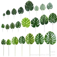MONSTERA/ DECORATION MONSTERA LEAVES