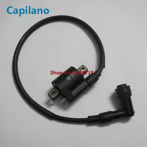 motorcycle scooter elecrtric ignition coil YBR125 XT125 YBR125 XT YBR 125 3D9-H2310-00 for Yamaha 12