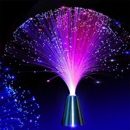 Home Creative LED Colorful Color Changing Fiber Optic Light / Battery Operated Romantic LED Room Dec