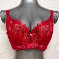 38D/85D QIANYAN PLUS SIZE BRA - WIRED