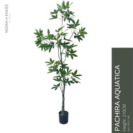 Artificial Pachira aquatica Tree - Height 210 cm ต้นศุภโชค 210 ซม. ต้นไม้ปลอมเกรดพรีเมี่ยม ไม้มงคล