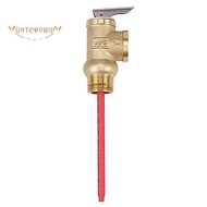 WYA-20 99C 101 PSI 210F WYA-20 0.7Mpa to Valve BSP 3/4 Inch Temperature and Pressure Relief Valve As
