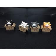 Complete Box Of 4 Cats Cat