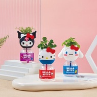 Hello kitty 50週年療癒植物瓶盲盒