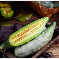 【Local seller】Boutique croissant melon fruit fresh seasonal crispy melon cantaloupe vegetable seeds
