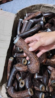 Gagang Golok Kayu Ruyung Ukiran Jengkol Sudah di Pernis jengkol Gagang Golok Kayu Ruyung Aren Jengko