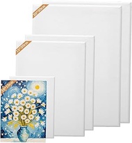 CEWROM Canvas Set, 6 Pieces Canvas for Painting, 30 x 20.20 x 15.15 x 10 cm, Stretcher Frame, Painti