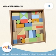 MALOTOYS - WOODEN BUILDING BLOCKS 47pcs WOODEN BLOCKS BUILDING BLOCKS Geometry Geometry City WOODEN 