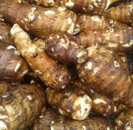 1kg umbi talas pulen talas ubi kimpul