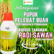 Pupuk Padi Sawah Terbaik / Pupuk Padi Sawah Terbaik / Pupuk Padi Semprot Penyubur / Pupuk Padi Pelebat Buah / Pupuk Cair Untuk Padi Sawah / Pupuk  Pembesar Buah Padi