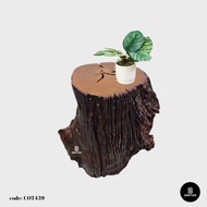 COT439. Chengal Emas Artistic Wood Pedestal/ Stump/ Side Table/ Stool