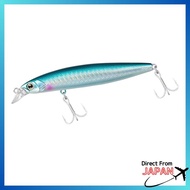 DAIWA Seabass Hunter Z95F Kibinago Flash
DAIWA Seabass Hunter Z95S 3D Inakkon 95
DAIWA Seabass Hunte