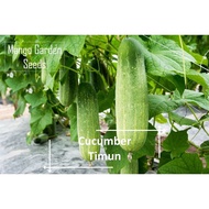 Common Cucumber Seeds - 30 Seeds *Pot Friendly* Pot Planting, Chicken Rice Cucumber, Chicken Rice Cu
