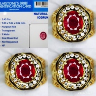 Natural Batu Permata Red Ruby Pigeon Beserta Memo Acc Lab
