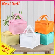 Insulated Food Delivery Bag Cake Carrier Cooler Bag Pizza Warmer Lunch Bag