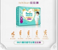 Pampers 行貨 Ichiban 拉拉褲 M碼 42片