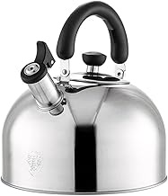 -123 Stainless Steel Electric Kettle Whistle Teapot Anti-scalding Boiling Kettle Gas Induction Cooker Food Grade Teapot (Color : B, Size : 3L) vision