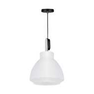 L&E โคมไฟตกแต่งแขวนเพดาน  รุ่น PSA25 สไตล์ Modern ไฟ LED ขั้วหลอด E27 x 1