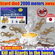 Kills 10000 lizards in 1night Lizard killer 1 Box/8 pieces lizard killer bait MOGO Gecko killer Cica