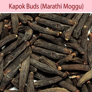 marati mokku india capers kapok buds Marathi moggu (Ceiba pentandra) Shalmali Semul marati mokku Bis