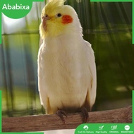 [Ababixa] Heated Bird Perch Resin Cage Accessories Bite Resistant Bird Warmer Bird Cage Heater for Medium Large Small Budgies Lovebirds