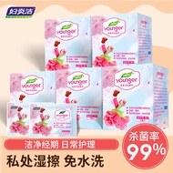 AT-🌞Fuyanjie Private Part Wet Wipes Women's Special Sanitary Wet Wipes Private Care Cleaning Wet Wipes Afterwards Vagina