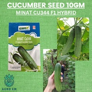 Cucumber Seed 10gm Minat CU344 Benih Timun 400seeds