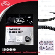 GATES POWERLINK SCOOTER BELT สายพานสำหรับสกู๊ตเตอร์ JRD Quest-X / Typhoon-R / เทียบใส่ Lambretta V200 จะยาวกว่าไม่มีประกัน [ SB60036HD ]