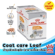 EXP 1/26 Royal canin Coat Care loaf 12 ซอง อาหารเปียกสุนัขบำรุงขนและผิวหนัง