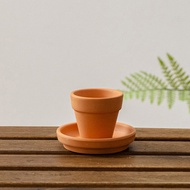 JUHAN | Breathable Cactus Pot small