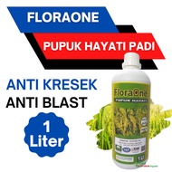 Pupuk Hayati tanaman padi ketan cair terbaik, Fungisida FLORAONE padi