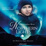 Northern Lights Northern Lights