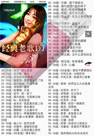 U盘 慢摇 经典老歌 DJ v.6  Usb Pendrive Song Music MP3 a651