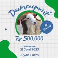 PTR Kambing Qurban, Domba kurban Down Payment