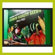 ▝ ⊙ ☋ RPO Lettuce Lollo Bionda Seeds