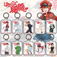 Acrylic Keychain Double Sided DIY, Transparent Keychain Anime [ Cells at Work ] Cells at Work Keycha