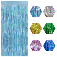 2X1M Glitter Tinsel Foil Fringe Curtains Photo Backdrop Metal Streamers Foil Fringe Backdrop Curtain