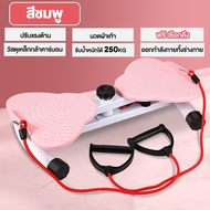 จานหมุน จานหมุนเอวเอส จานหมุนออกกำลังกาย จานหมุนเอว จานทวิส หมุนลดเอว ที่หมุนลดเอว พร้อมเชือก
