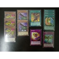 [amazingwarr] Yugioh Gaia/盖亚small set