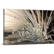 Pearls Canvas Wall Art Print By Maryam Zahirimehr Fine Art Photography Home Decor Artwork 36x24