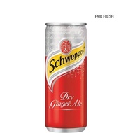 Schweppes Dry Ginger Ale Can 320ml