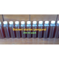 Oxygenic Bacteria STARTER &amp; Probiotic Pool/AQUARIUM