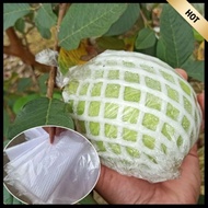 50set Guava guava bagging fruit protection net cover tree insect-proof bagging bag Guava guava bag  