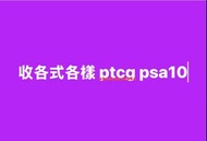 收各式各樣 PTCG PSA 10