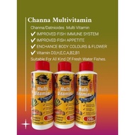 Channa Multivitamins Suppliment 200ml