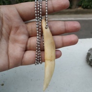 Liontin Kalung Replika Taring Beruang Asli Top Quality